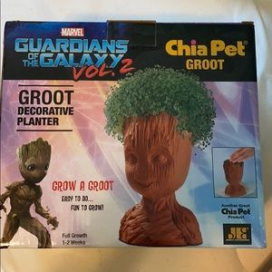 Groot Chia Pet